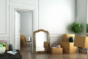 House Packing and Unpacking